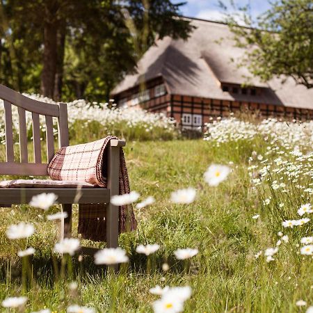 Park Am See X Nattika Ayurveda, Hotel Health Spirit Penzlin Eksteriør billede