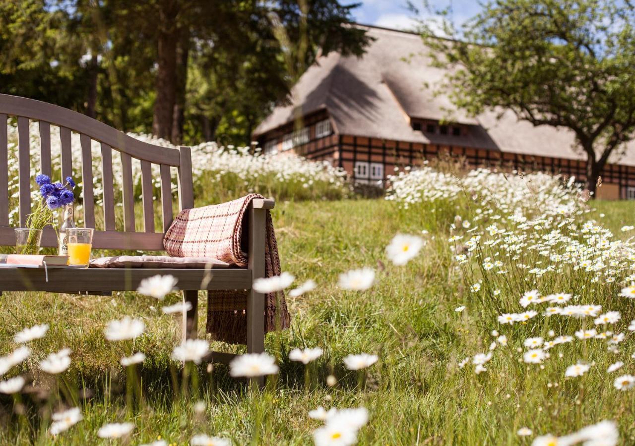 Park Am See X Nattika Ayurveda, Hotel Health Spirit Penzlin Eksteriør billede